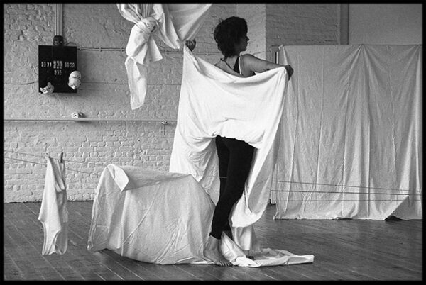 LE PAON BLANC FEMELLE